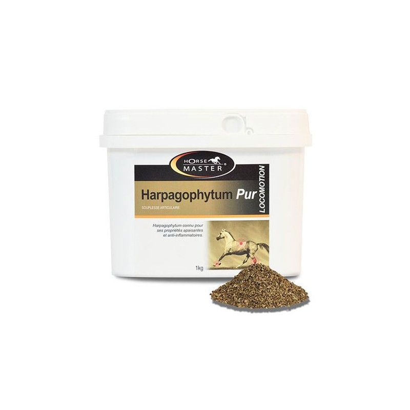 Harpagophytum pour cheval - Equi-clic
