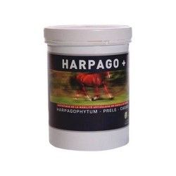 Hargophyt Griffe du diable 1 Litre - Sensibilité articulaire - Arthrose  Cheval - Compléments alimentaires Horse Master